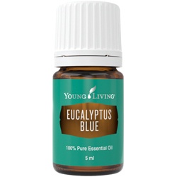Eucalyptus blue young living essentiële oliën zonder euganol
