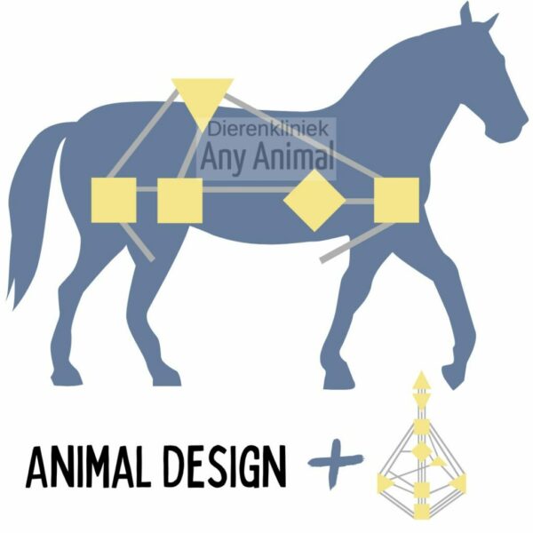 Illustratie van een paard met Animal Design er in