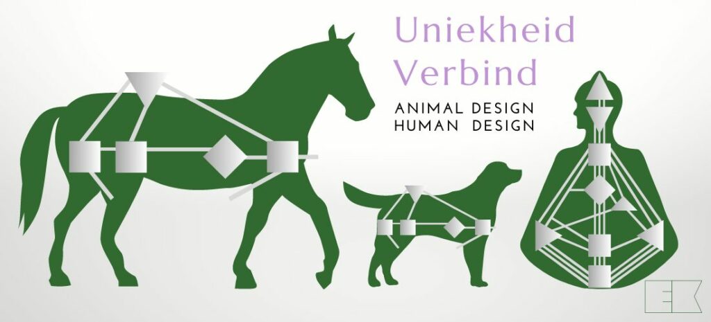 Animal Design - Human Design