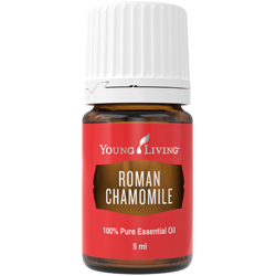 5 ml flesje olie met Roman Chamomile essentiële olie.